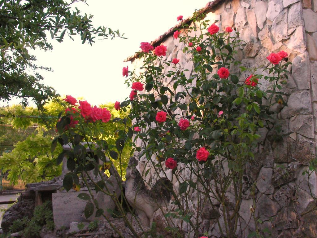 Agriturismo Valle Verde Altamura Εξωτερικό φωτογραφία